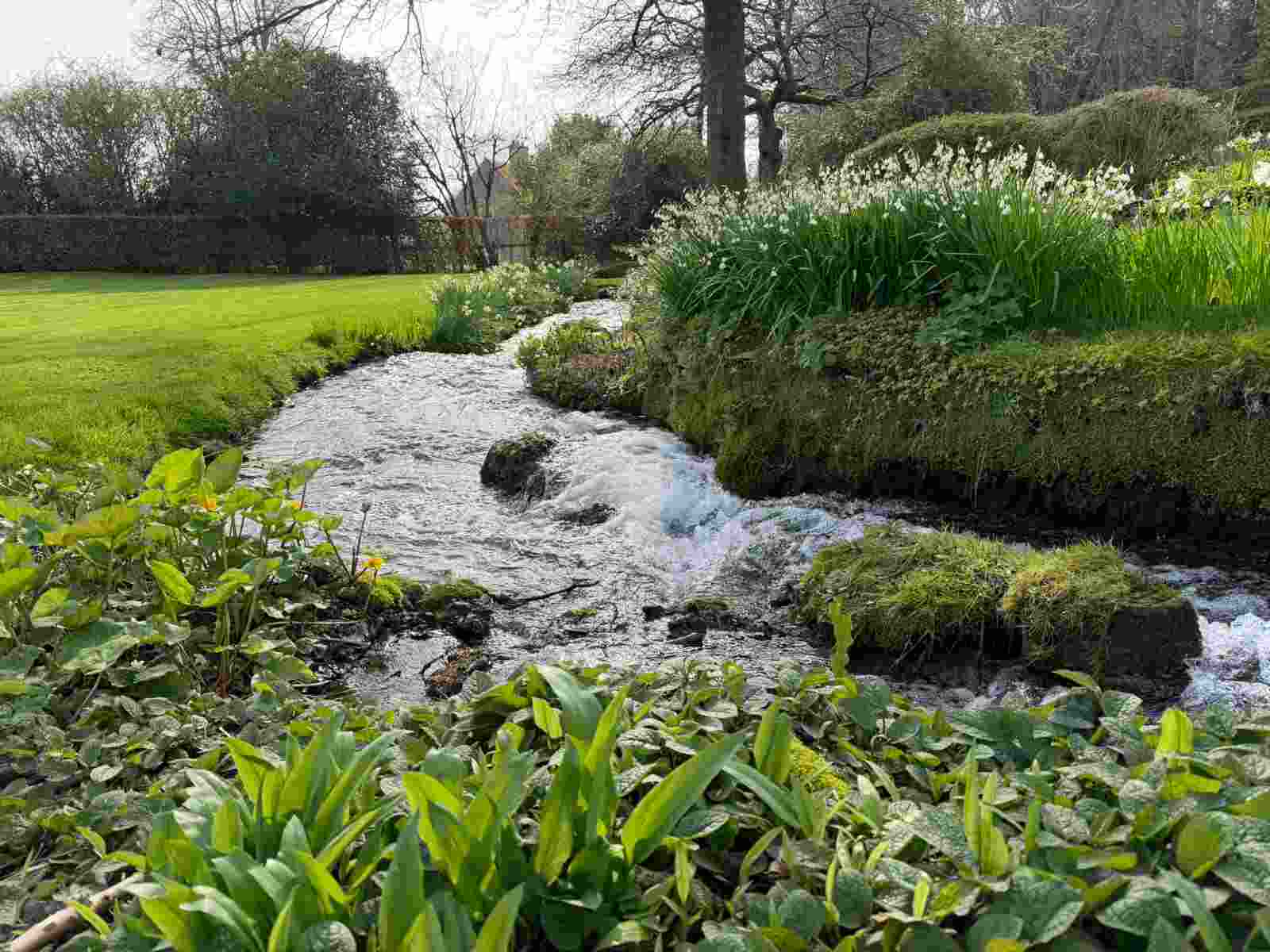 Stream 1
